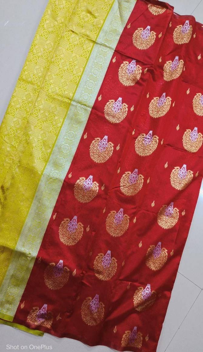 New Borderless Soft Lichi Kanchipuram Saree Catalog